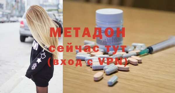 шишки Горняк