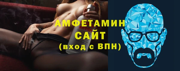 шишки Горняк