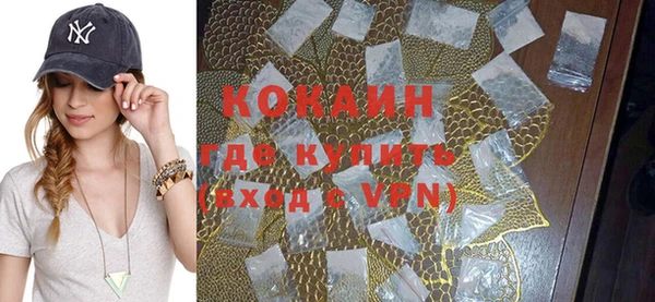 шишки Горняк