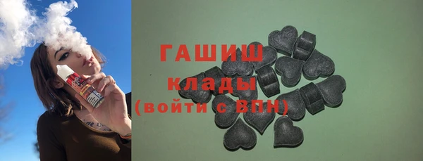 шишки Горняк