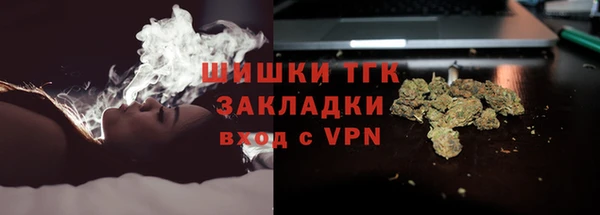 шишки Горняк