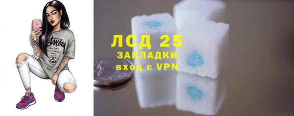 шишки Горняк