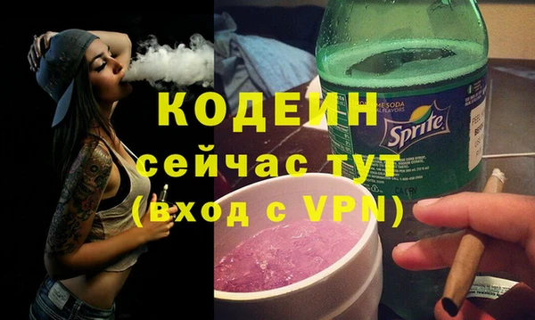 шишки Горняк