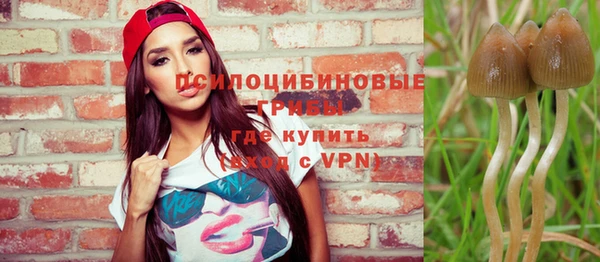 альфа пвп Горнозаводск
