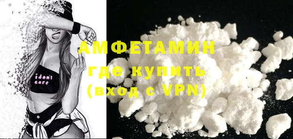 шишки Горняк