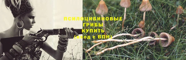 шишки Горняк