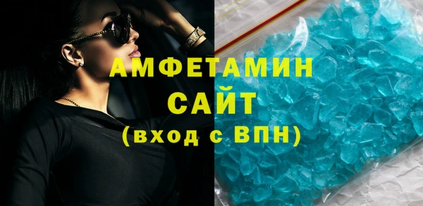 шишки Горняк