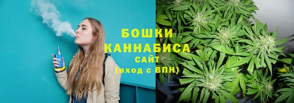 ALPHA PVP Горно-Алтайск